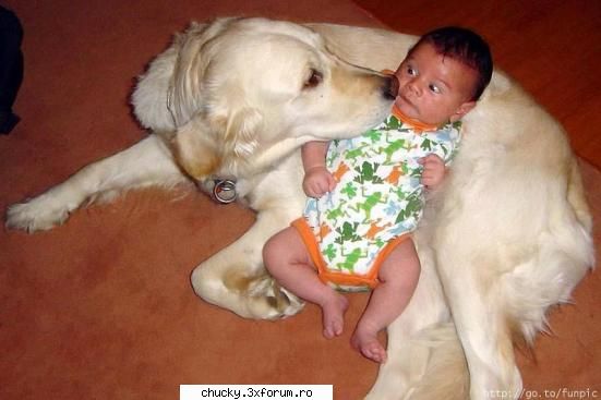 Poze amuzante :)) - un cuplu fericit - Funny